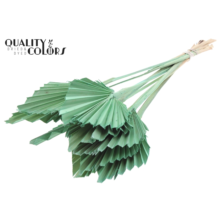<h4>Palm Spear per stem Frosted Mint Green</h4>