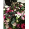 BOUQUET X7 RANUNCULUS CINEREA MIX E