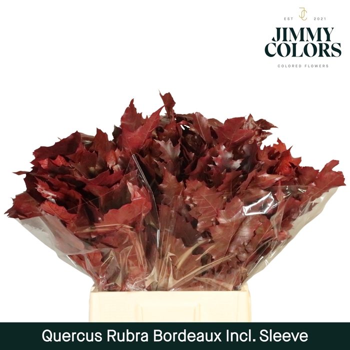 <h4>Quercus Rubra sleeve L60 Bordeaux</h4>