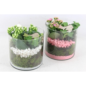 arr2 PL - Glas cilinder 15x15 - roze/wit