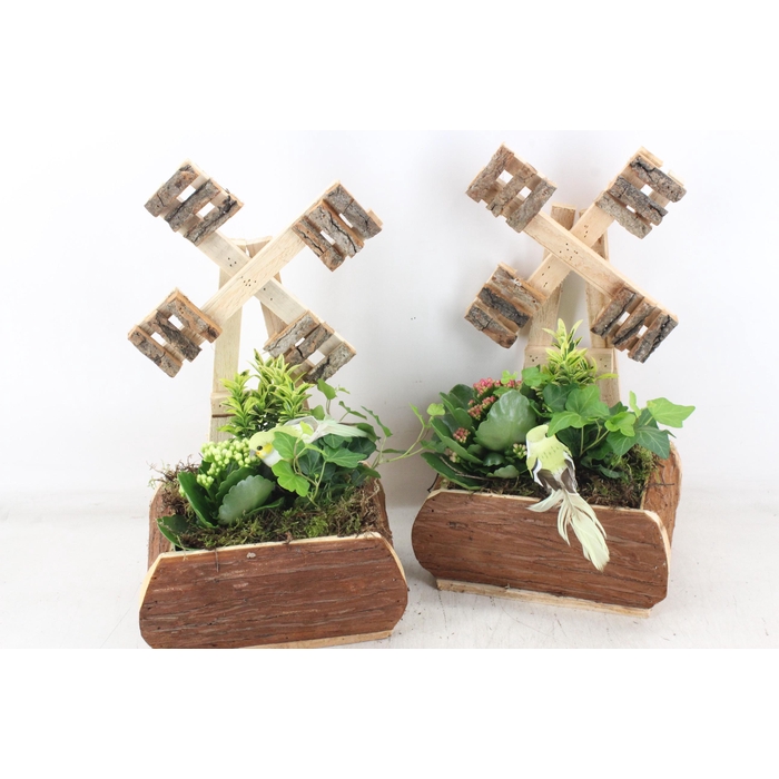 <h4>Arr2 Td - Hout Windmolen - Roze/wit</h4>