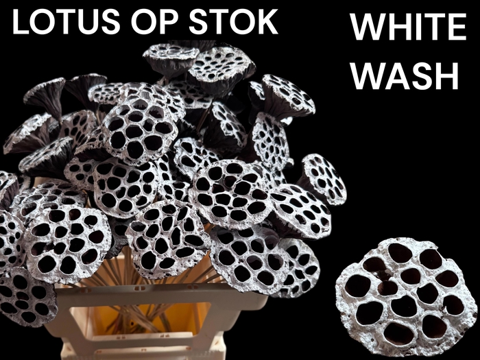 <h4>HUIS EN TUINDECO H%</h4>