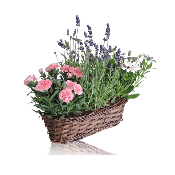 <h4>Collectie Hanoi Arrangement in Mand 30 cm</h4>