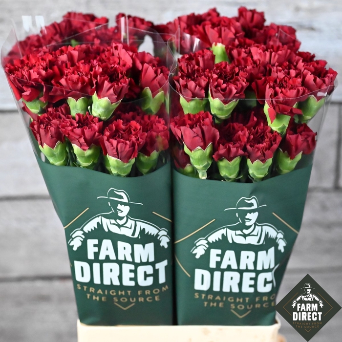 <h4>DI ST VELOURS 65CM</h4>