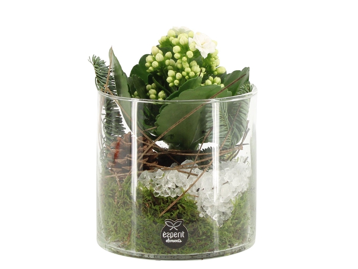 <h4>61698: X-mas arrangement</h4>