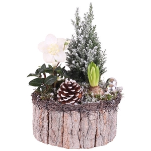 Christmas Arr.Outdoor Wooden Pot round bark salim ø21cm3PP