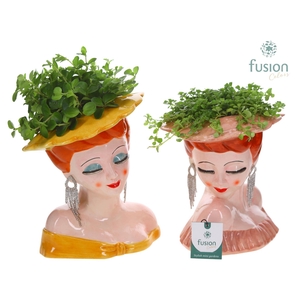 Keramiek Dames vase met Groenen planten mix