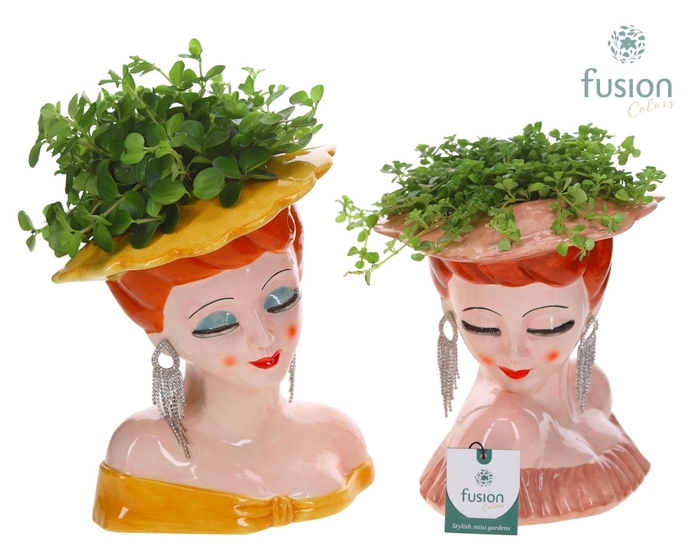 <h4>Keramiek Dames vase met Groenen planten mix</h4>