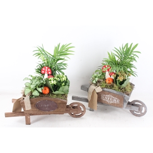 arr2 TD - Houten kruiwagen oranje/wit