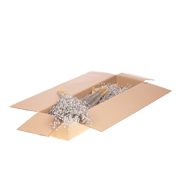 <h4>Linum Sb Silver</h4>