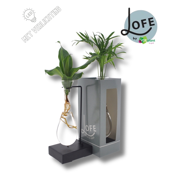 <h4>LOFE|Intenz mix in Hang glas MetAAL+VER- levertijd:24uur</h4>