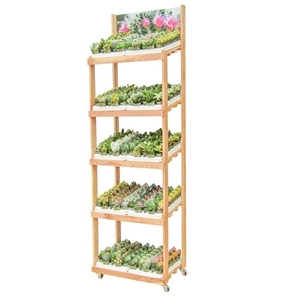 WOODEN DISPLAY GDO 5 LAYERS: WITH CACTUS AND SUCCULENTS IN POT 5,5 - CM 60 X 40 H 190 - 300 PCS