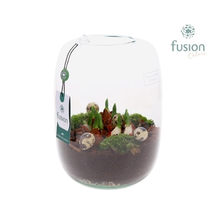 Green Bottle Isabella Large Pasen met Tulpen