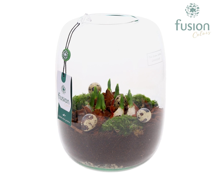 <h4>Green Bottle Isabella Large Pasen met Tulpen</h4>