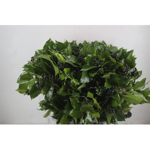 Hedera Berry 400gr P Bunch