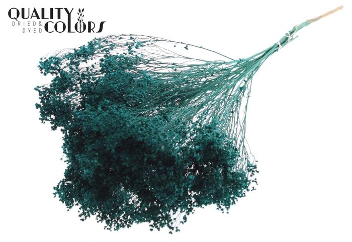 <h4>Droogbloemen   ...bewerkt H%</h4>