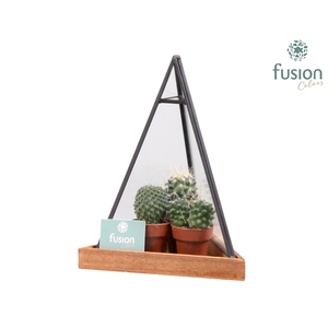 Glazen pyramide met metaal klein en