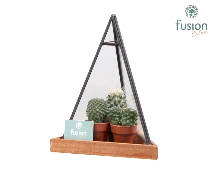 <h4>Glazen pyramide met metaal klein en</h4>