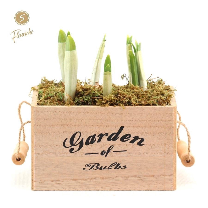 <h4>ARR N TETE A TETE H%</h4>