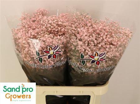 <h4>Gyps Klb H%</h4>