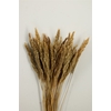 Dried Pinion Grass Natural Bunch