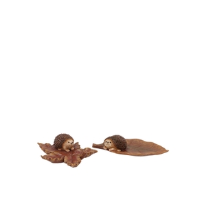 Hedgehog Leaf Ass 22x11x4cm