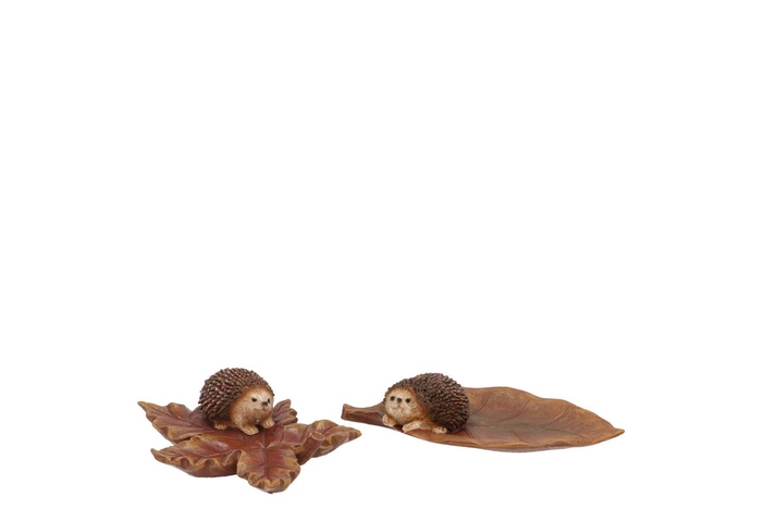 <h4>Hedgehog Leaf Ass 22x11x4cm</h4>