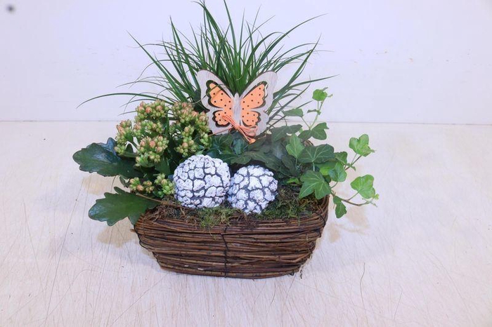 <h4>ARR TUINPLANTEN</h4>