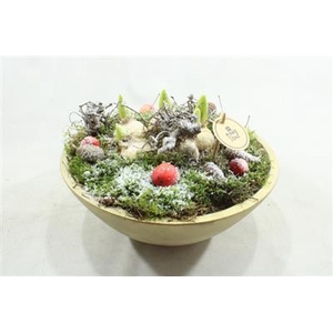 2587 Hyac Ebbi Schaal