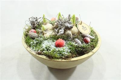 <h4>2587 Hyac Ebbi Schaal</h4>