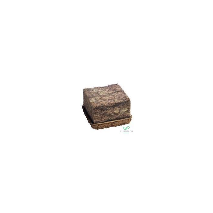 <h4>FIBREFLORAL™ BIO HALF BRICK 4PCS</h4>
