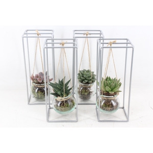 arr2 MB - Ijzer Zilver rek 1 glas