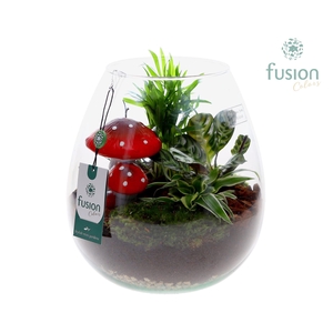 Green Bottle Abby Large met Herfst arrangement