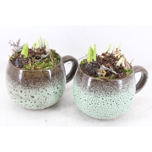 arr4 Bollenmix MB - Luxe mok 338/6