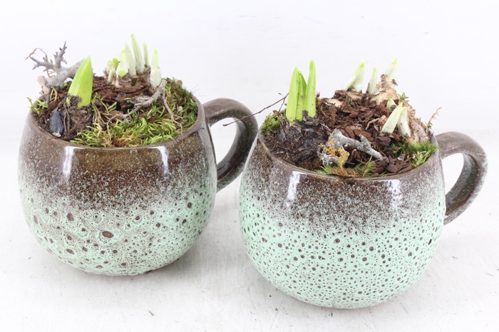 <h4>arr4 Bollenmix MB - Luxe mok 338/6</h4>