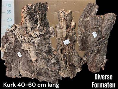 <h4>KURK PLAKKEN</h4>