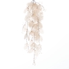 AF Hang Bush Lunaria x5 L79cm