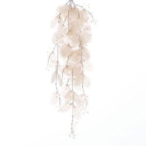 AF Hang Bush Lunaria x5 L79cm