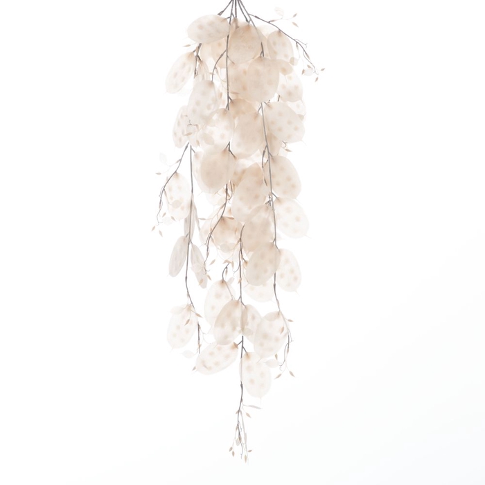 <h4>AF Hang Bush Lunaria x5 L79cm</h4>