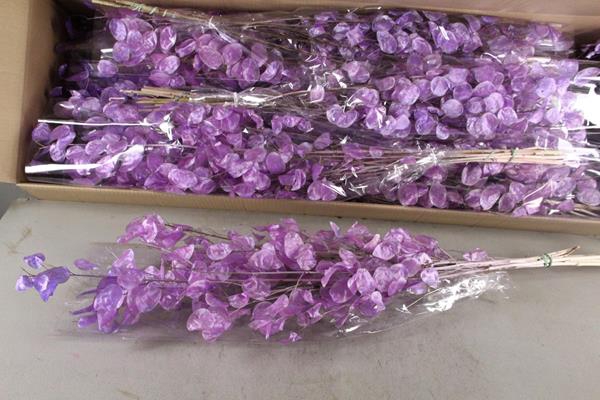 <h4>Df Lunaria Bs Shiny Lilac</h4>