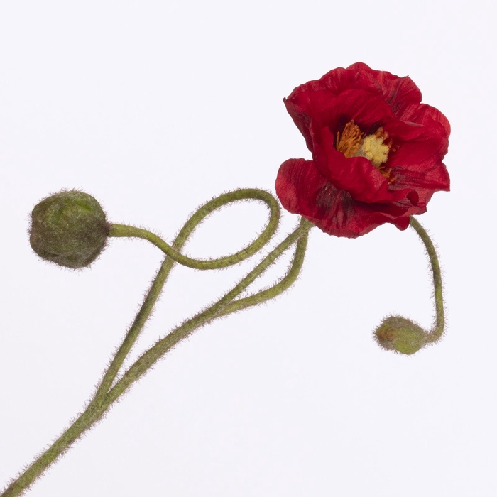 <h4>Papaver Spray Red FL440350RED</h4>