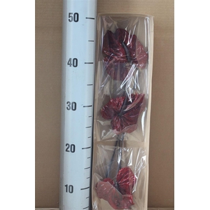 Japan Deco Anthurium Burgundy 3 Pcs