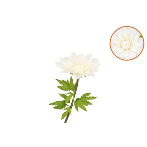 Silk Amazing Dahlia Beauty Cream L 35x100cm