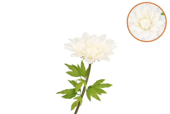 <h4>Silk Amazing Dahlia Beauty Cream L 35x100cm</h4>