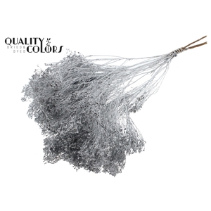 Broom Bloom p/bunch in poly Silver