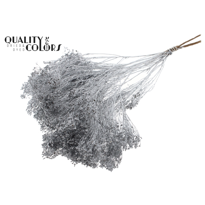 <h4>Broom Bloom p/bunch in poly Silver</h4>