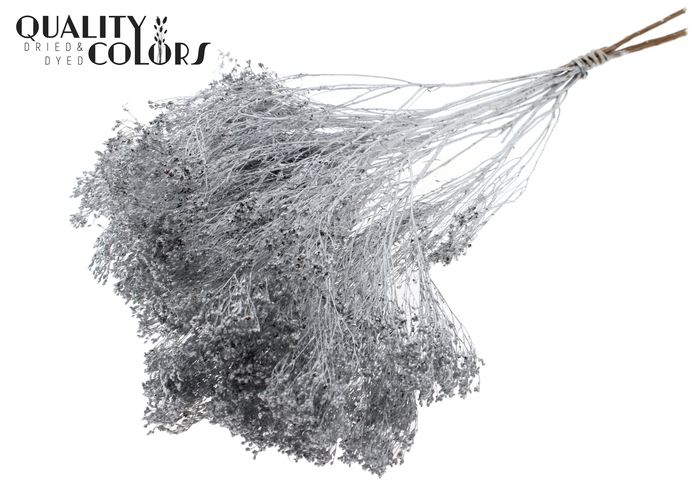 Broom Bloom p/bunch in poly Silver