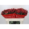 Hypericum True Romance