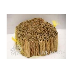 Cinnamon big box 8cm