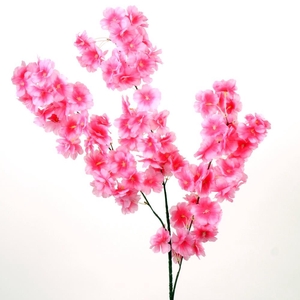 AF Cherry blossom L95cm d.pink